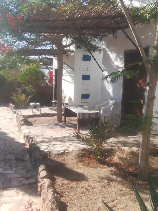 Bedouins Inn Village Aqaba Eksteriør billede