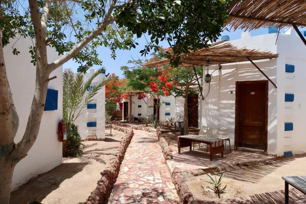 Bedouins Inn Village Aqaba Eksteriør billede
