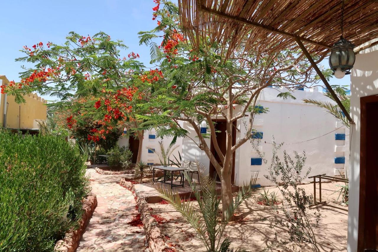 Bedouins Inn Village Aqaba Eksteriør billede