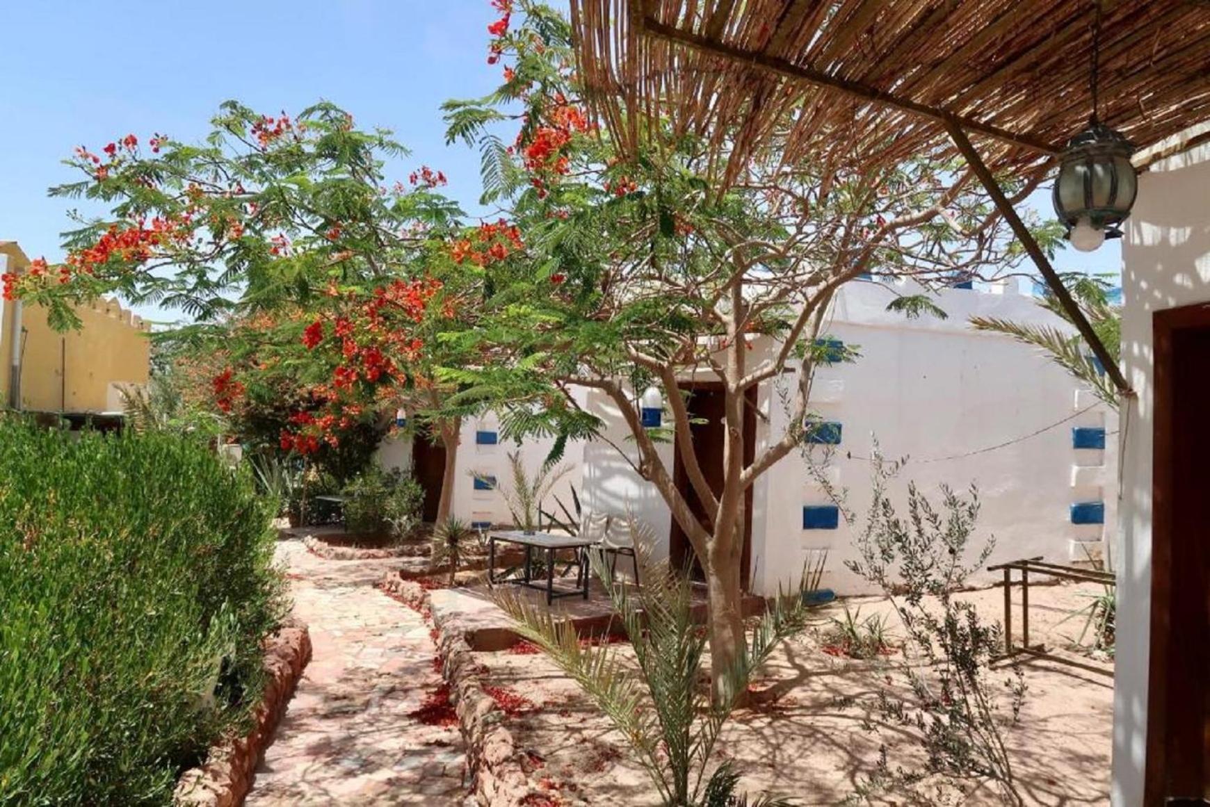 Bedouins Inn Village Aqaba Eksteriør billede